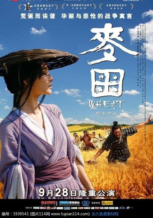 仿制假康涅狄格大学成绩单